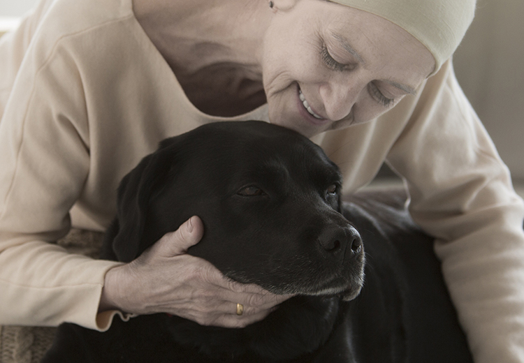 Cane che fiuta le malattie