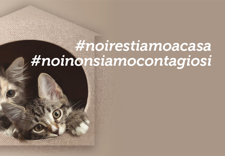 #noirestiamoacasa #noinonsiamocontagiosi