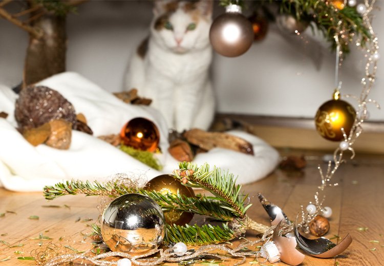 gatto che ha rotto le palline dell'albero di natale