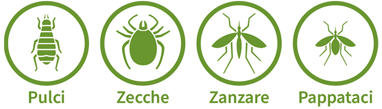 parassiti del cane e del gatto