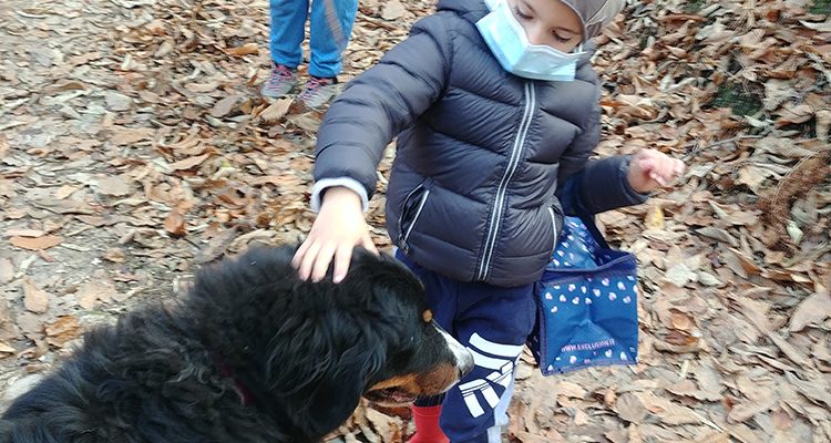 bambino e cane nel bosco